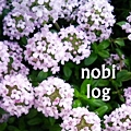 nobilog